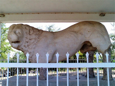 PALLINI, PRESENTATION OF MY REGION